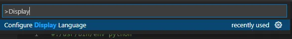 VS Code 切换中英文