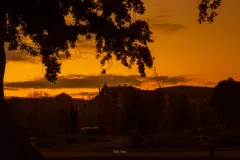 C语言“交换两个变量的值”和求十个数中最大的数(流程图、代码)