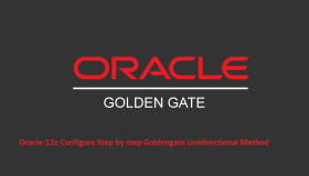 【大数据开发运维解决方案】GoldenGate replicat进程延迟分析步骤