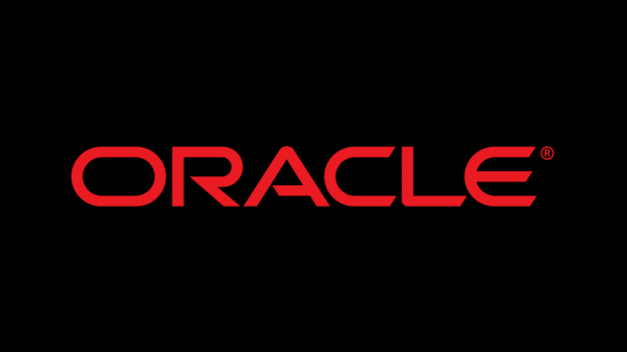【大数据开发运维解决方案】Oracle Data Redaction数据加密测试