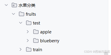 pytorch实现水果2分类（蓝莓，苹果）
