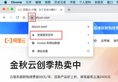Chrome浏览器导出HTTPS证书