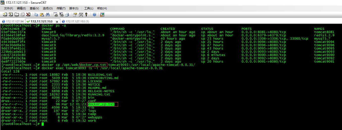 Docker cp 将宿主机上的文件复制到容器中