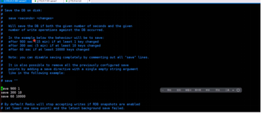 配置文件详解、RDB 及 AOF 备份机制（一）|学习笔记