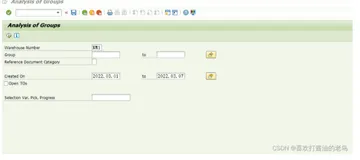 SAP WM初阶之2-Step Picking创建的Group查询报表