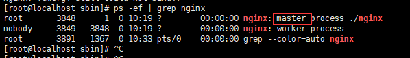 nginx 安装