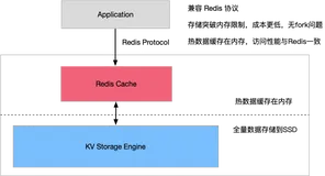 谁说Redis数据必须全部存储到内存？Redis混合存储实例看过来！