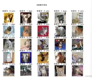 TensorFlow+Pytorch识别阿猫阿狗（下）