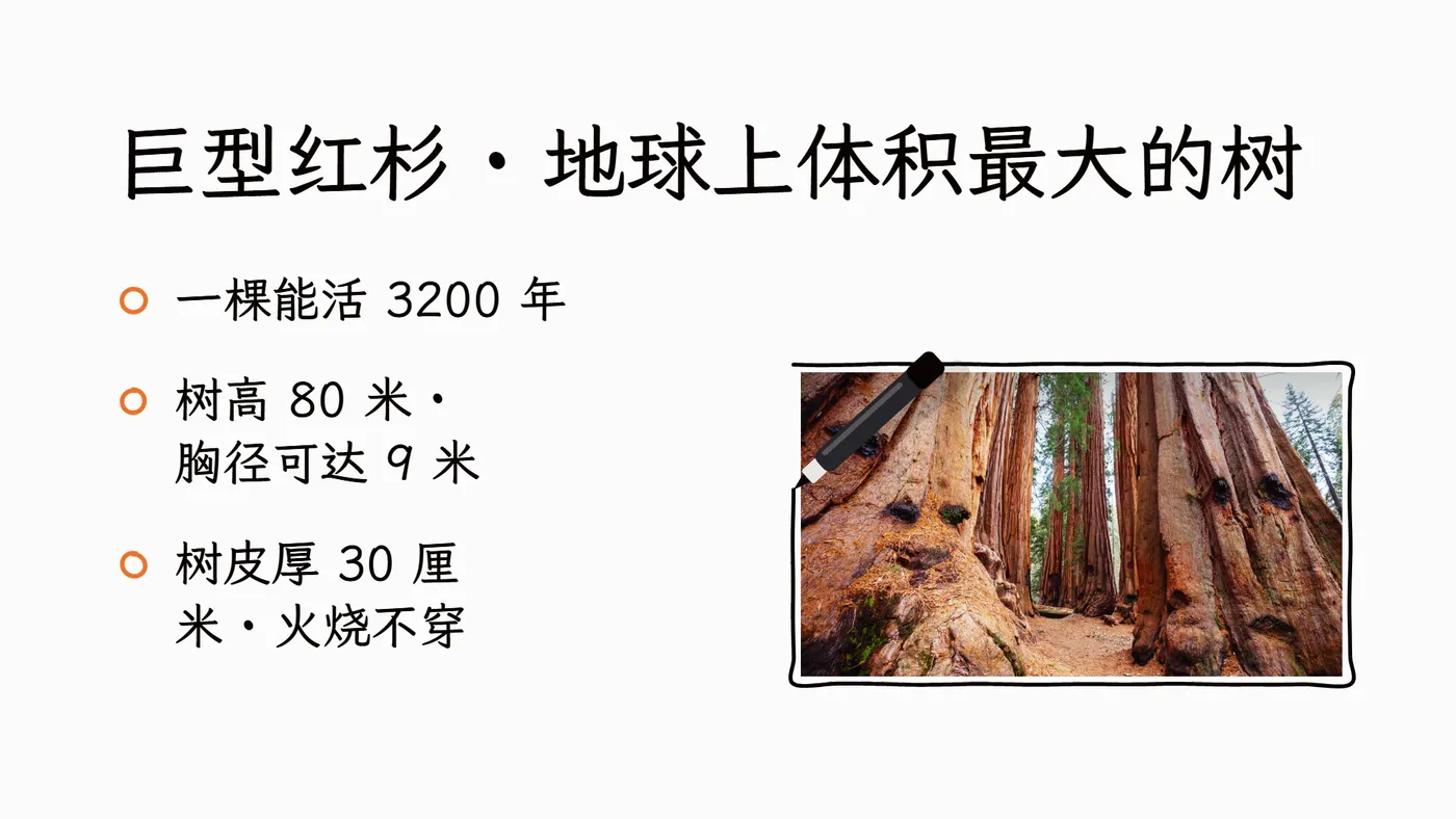 同一份素材，既能渲出静态封面，也能出一整段时长精确的动画（huashu 渲染示例）