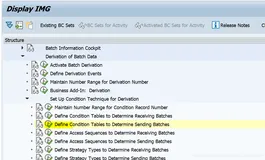 SAP Batch Derivation功能初探之二（二）