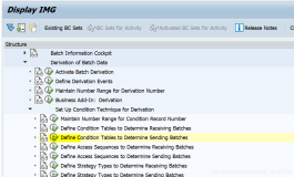 SAP Batch Derivation功能初探之二（二）