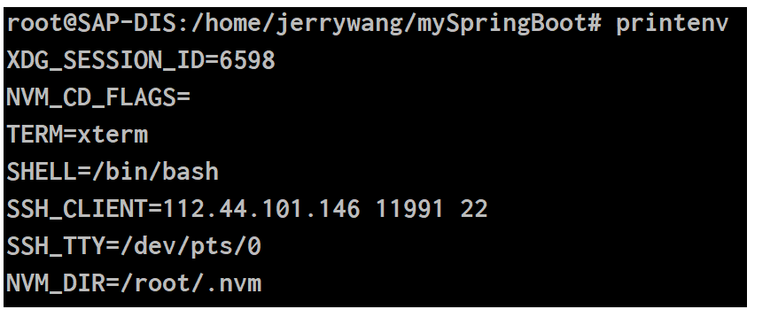 SpringBoot的端口配置server.port没办法设置成Linux的环境变量