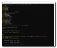 【Git】Git 标签使用 ( 创建并查询标签 | 推送单个标签到远程仓库 | 推送所有标签到远程仓库 | 删除远程仓库的标签 )（一）