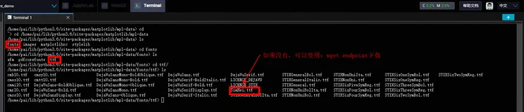 阿里云DSW实例matplotlib中文字符支持问题
