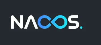 Nacos2.0系列启动报错指南