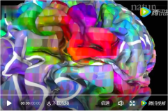Nature封面：神经科学家成功绘制大脑语义地图，解读人类思想迈出关键一步