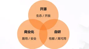 Dubbo 开源、自研、商业化三位一体战略解读 | 学习笔记