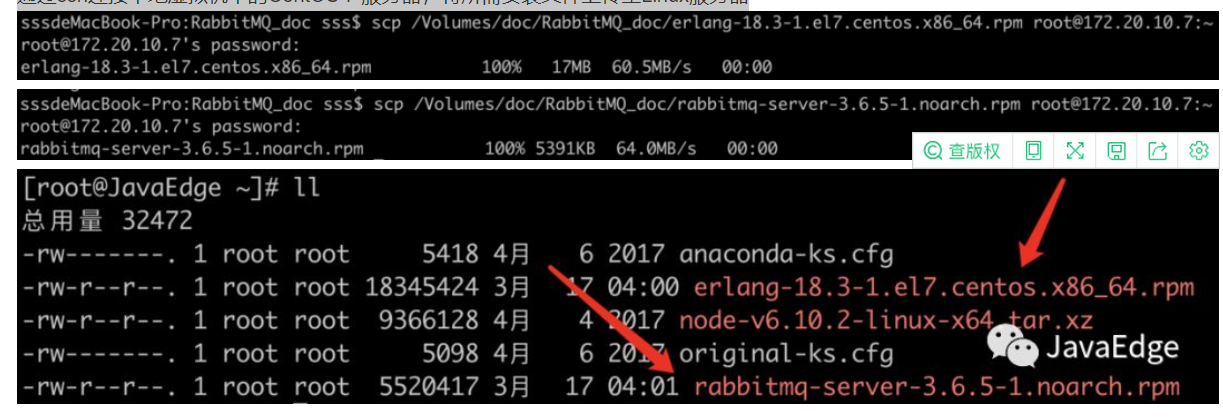 Linux环境下 RabbitMQ 的下载与安装