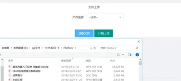 自定义按钮样式选择文件button“实现”file功能