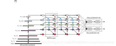 手把手教物体检测——EfficientDet