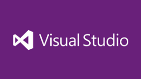如何确定Visual Studio的_MSC_VER值？