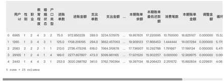 数据挖掘实战:个人信贷违约预测(下)