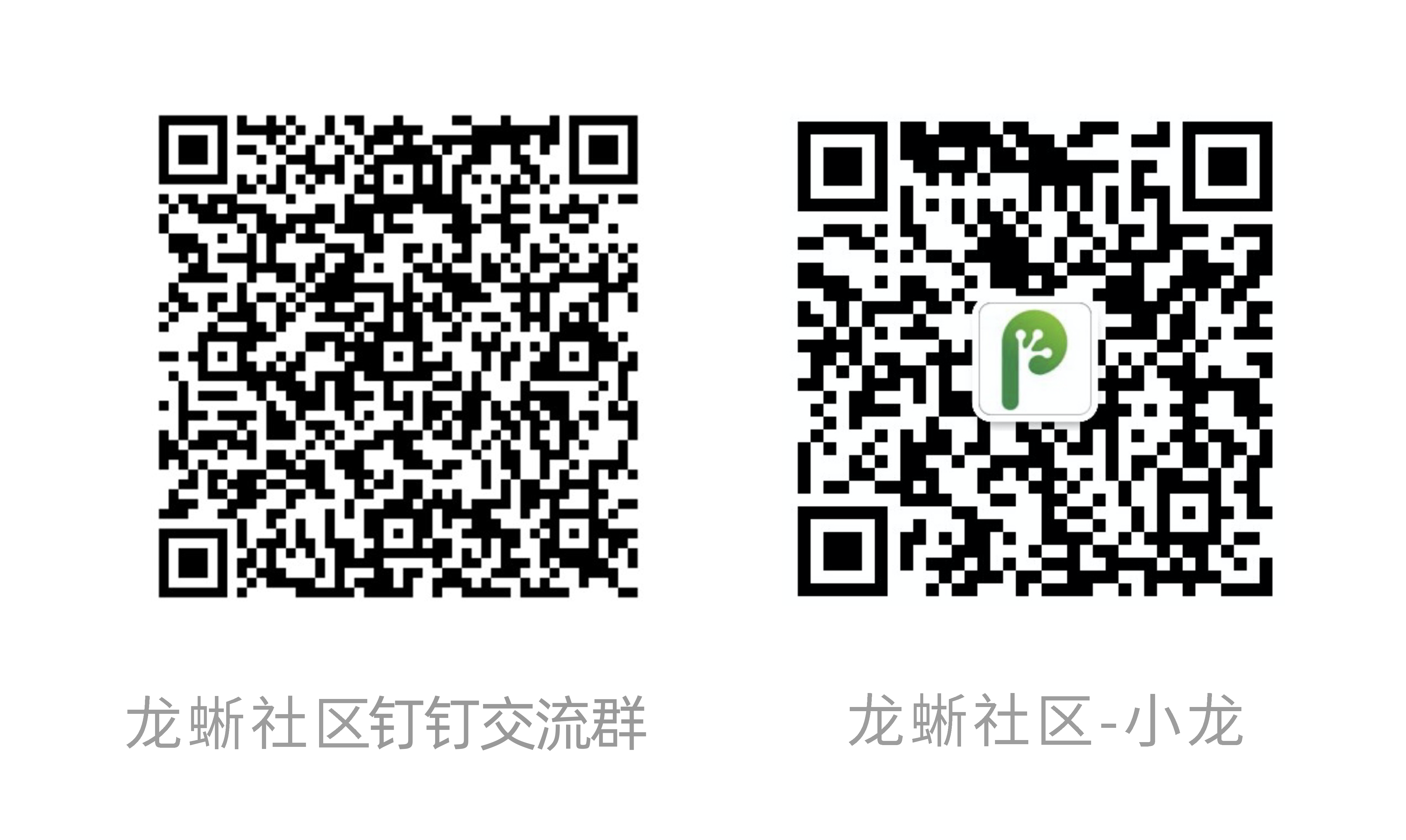 公众号&小龙交流群.png