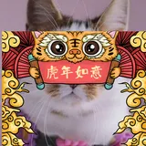 我明白了，玩转前端面试JS篇