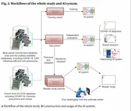 中国研究者开发AI系统，平均3秒内识别新冠肺炎和普通感冒