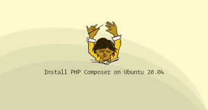 如何在 Ubuntu 20.04 上安装和使用 Composer