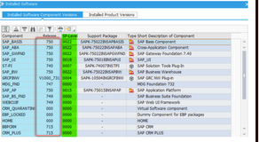 什么是 SAP Support Package Stack