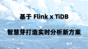 基于 Flink x TiDB，智慧芽打造实时分析新方案