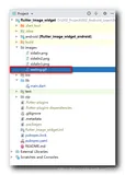 【Flutter】Image 组件 ( 配置本地 gif 图片资源 | 本地资源加载 placeholder )（一）
