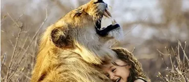 SpringBoot基础系列@Value 之字面量及 SpEL使用知识点介绍篇