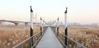Spring Boot Admin 集成诊断利器 Arthas 实践