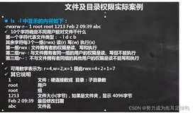 Linux:文件及目录权限详解+实例