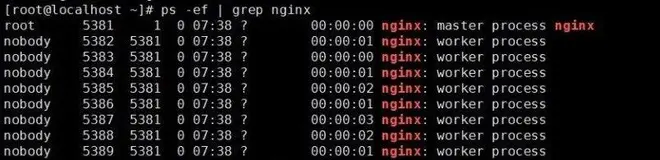 乖，答应阿粉，这些 Linux 命令你一定要常用