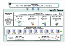 【初级】MySQL 开发者规范 | 学习笔记