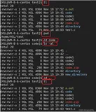 C语言模拟实现Liunx操作系统与用户之间的桥梁shell（代码详解）