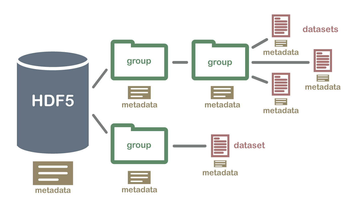 R语言-rhdf5解析hdf5文件(.h5)展示文件组织结构和数据索引实现