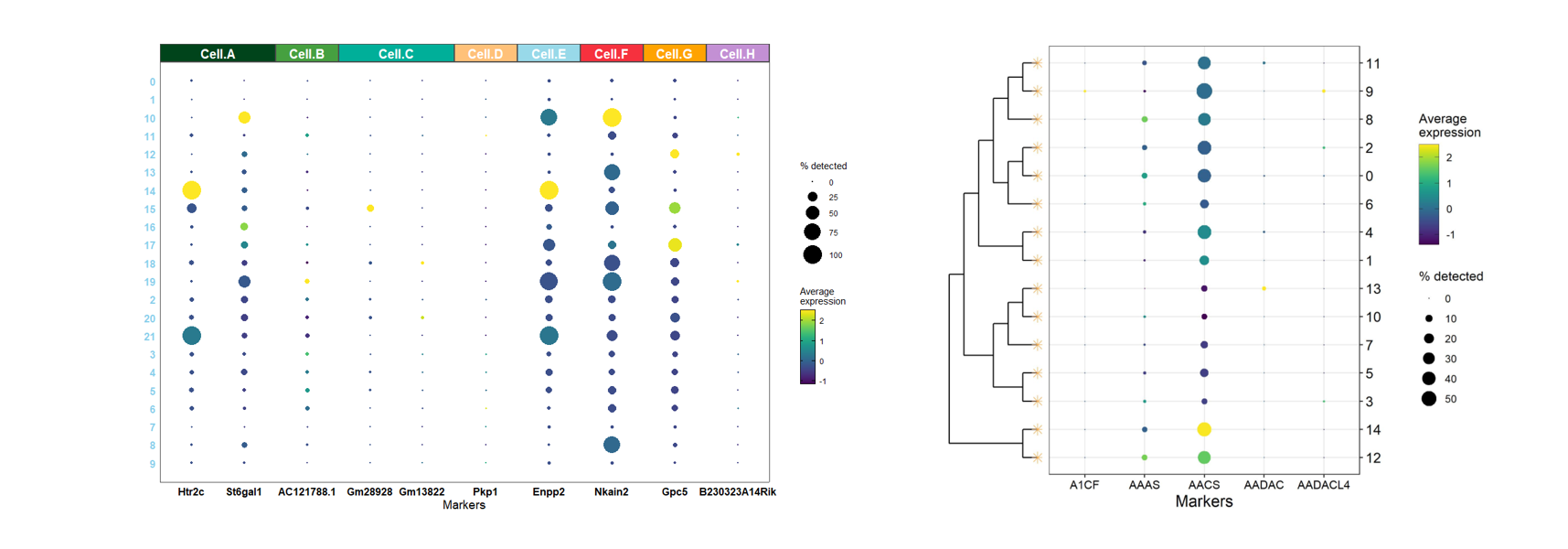 Seurat::DotPlot 样式美化-Facet方法添加X轴注释标签-阿里云开发者社区