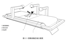 基于深度学习计算机视觉的害虫种类及数量检测