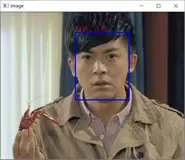使用Tensorflow实现的MTCNN和MobileFaceNet实现的人脸识别系统GUI界面 附代码 详细教程