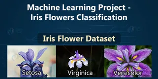 小白入门机器学习必学案例分享。