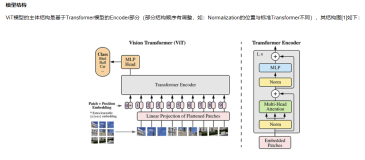 Vision Transformer 图像分类识别 基于 ViT（Vision Transformer）的图像十分类 实战 完整代码 毕业设计