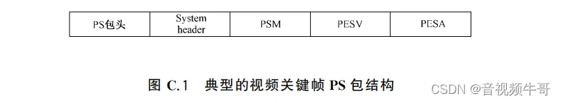 GB/T28181-2016基于RTP的视音频数据封装和技术实现