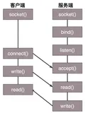 TCP 和 UDP 的 Socket 调用