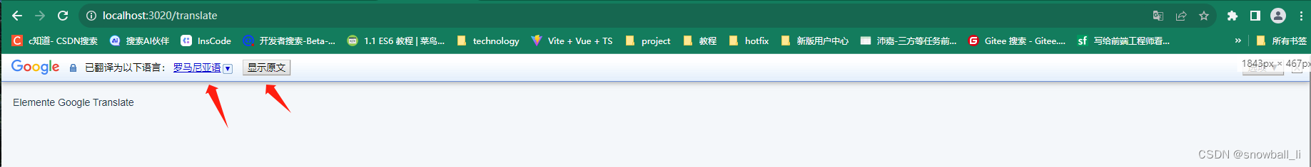 vue3-ts-vite：Google 多语言调试 / 网页中插入谷歌翻译元素 / 翻译