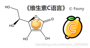 【维生素C语言】第四章 - 数组（一）