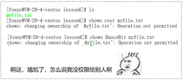 【看表情包学Linux】shell 命令及运行原理 | Linux 权限 | 文件权限的修改和转让 | 目录的权限 | Sticky bit 粘滞位（二）